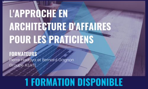 L'APPROCHE EN ARCHITECTURE D'AFFAIRES POUR LES PRATICIENS