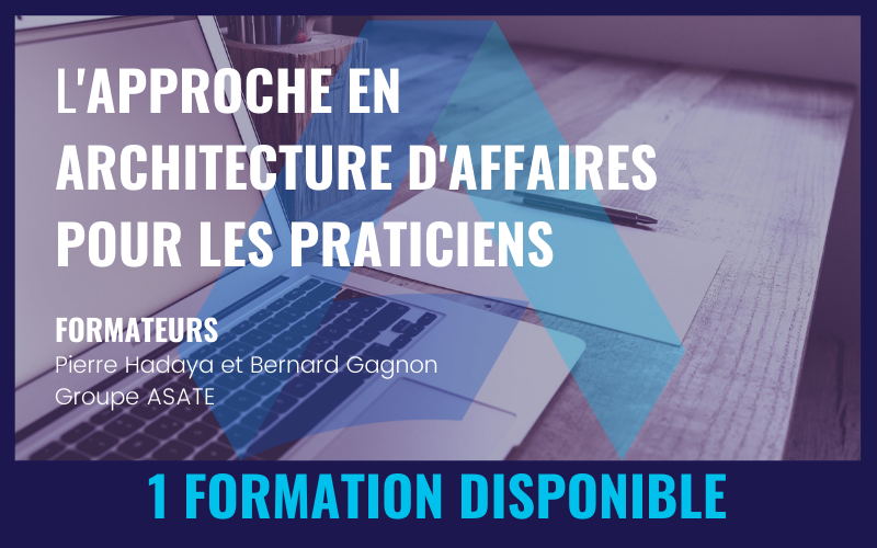 L'APPROCHE EN ARCHITECTURE D'AFFAIRES POUR LES PRATICIENS